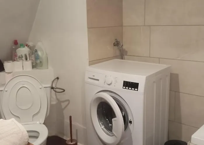 Apartment Chez Titi Mulhouse